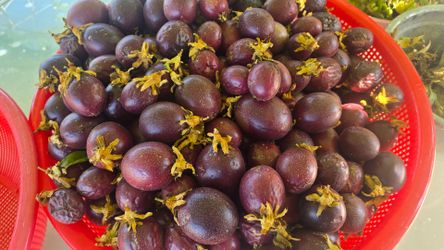 Passion fruit pick the one you want! 50 cents each