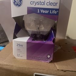 GE Globe Bulb 25w 12 Package