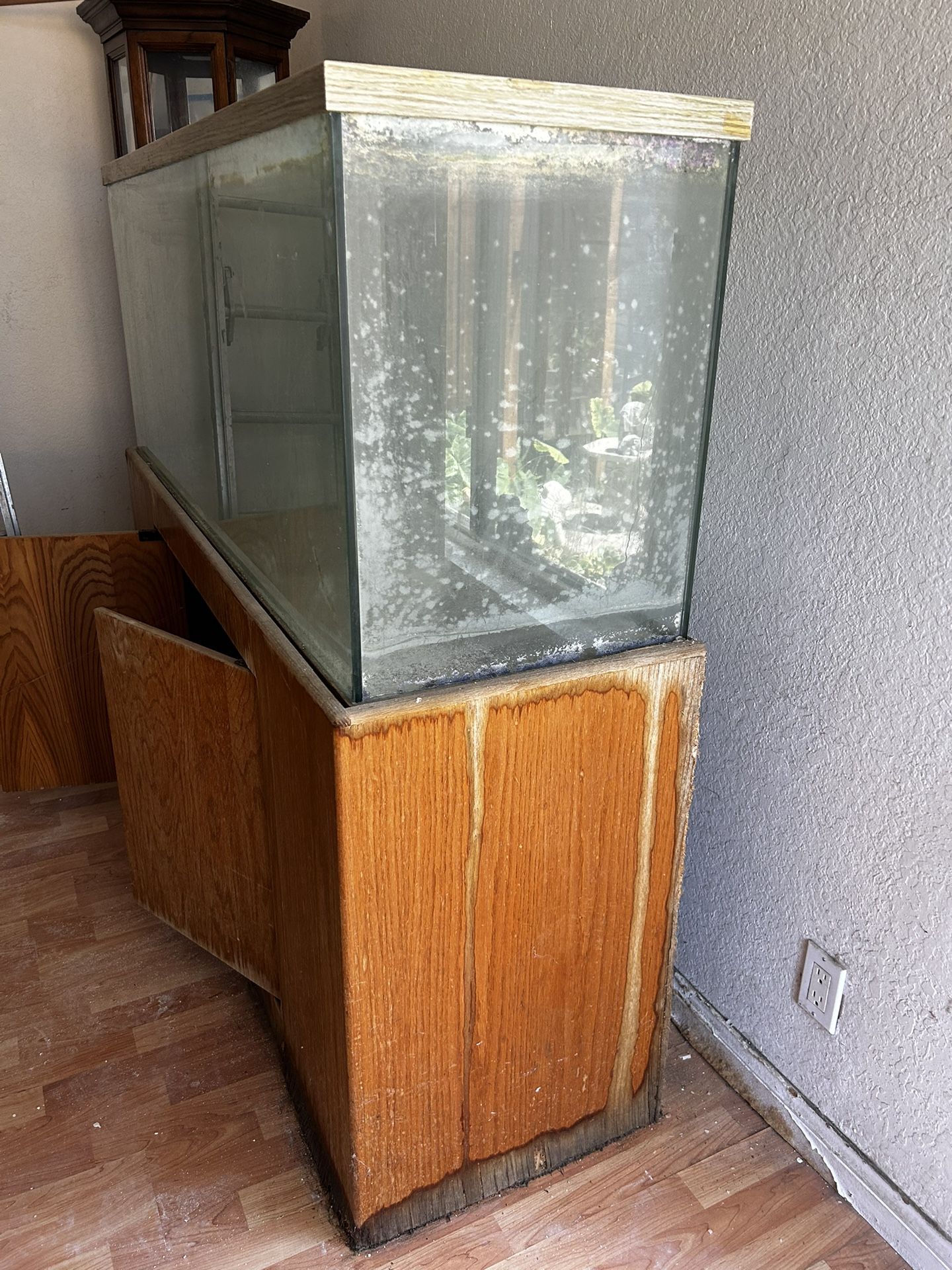 Free!! 100 Gallon Fish Tank