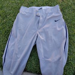 Baseball Pants Navy Strip