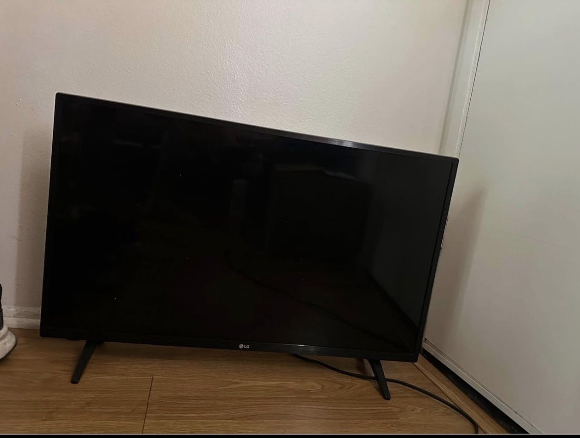 28" LG Screen - Perfect for Work or Movies