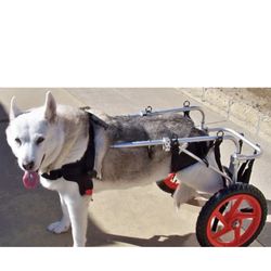 Best Friend Dog Wheelchair 