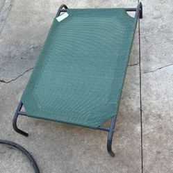 The Original Coolaroo Elevated Pet Dog Bed for Indoors & Outdoors, Medium, Green