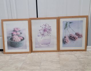 3 beautiful 17 by 21 inch framed flower pics. (MUST SELL TODAY)