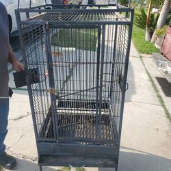 Bird Cage