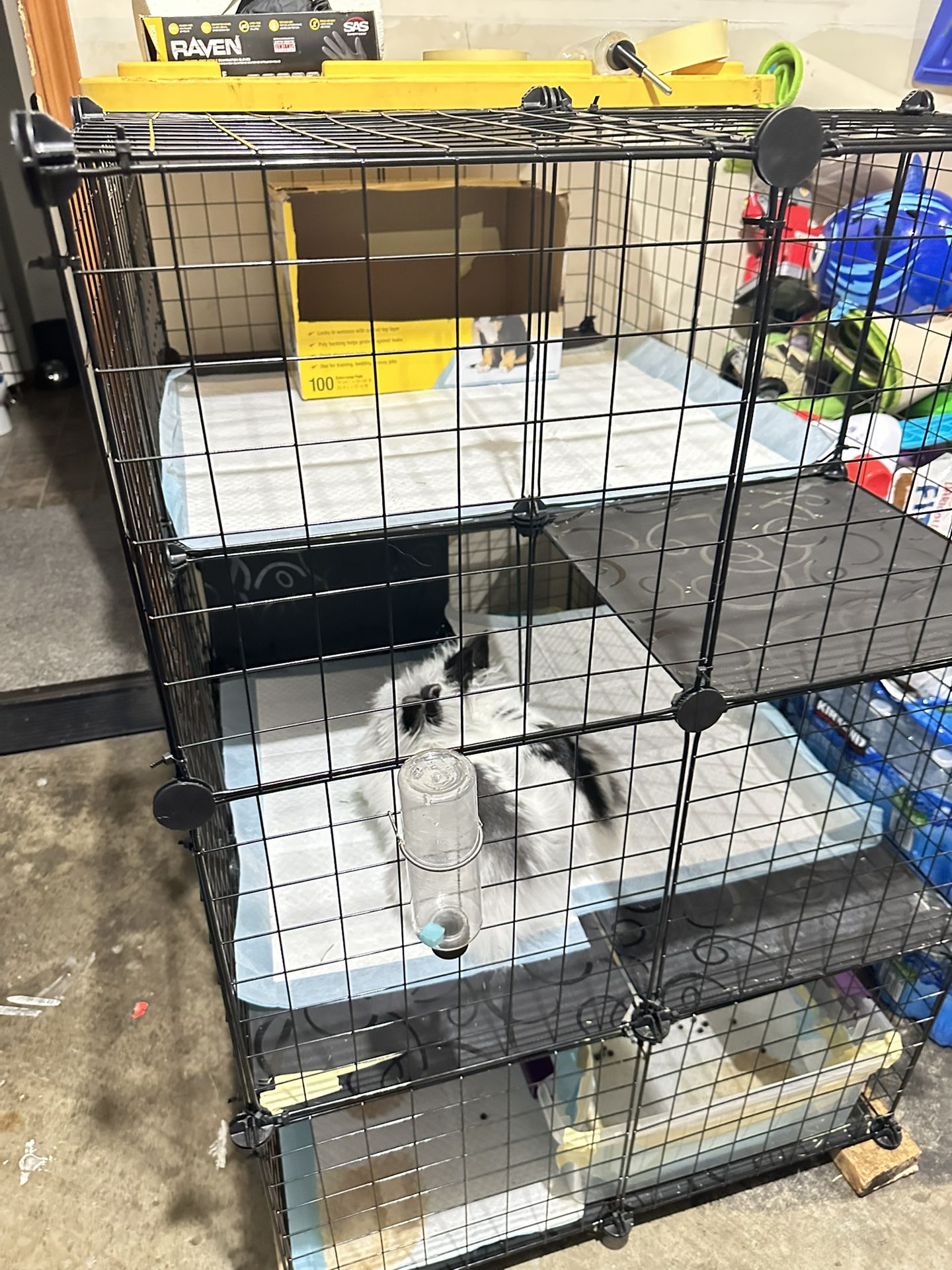 Rabbit Cage and more