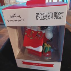 Peanuts Snoopy on dog house ornament