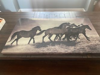 Horse Print 42x24