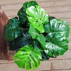 45"Tall Genuine Faux Plants #2