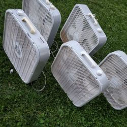 Box Fans