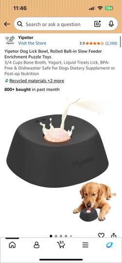 Dog licking bowl