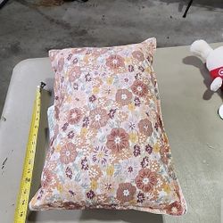 Throw Pillow