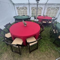 Fruitwood Folding Chairs 