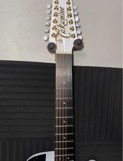 Takamine 12 string