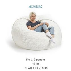 Lovesac Bean Bag