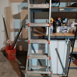 Ladder - Little Giant