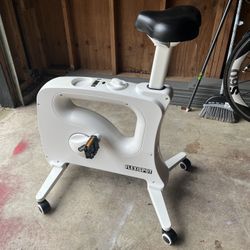 Flexispot Under Desk Bike 