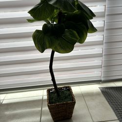 BEAUTIFUL FAKE PLANT