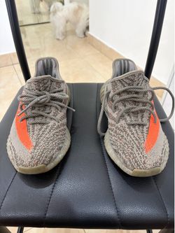 yeezy 350