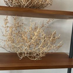 Tumbleweed For Decor (5of 7)