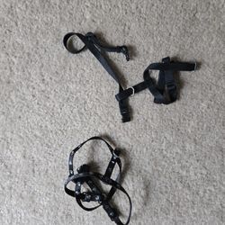 2 Small Dog Harnesses 