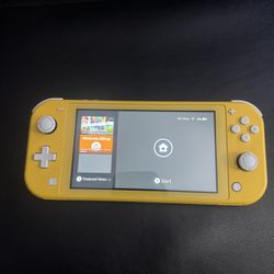 Nintendo switch Lite