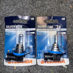 H8 Headlight Bulbs