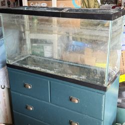 29 Gallon Aquarium + Equipment 