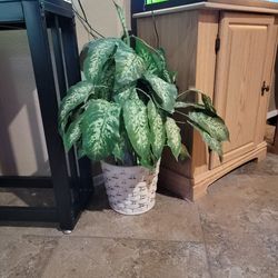 Fake plant with basket 