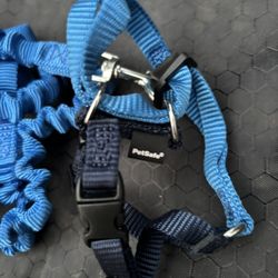 PetSafe Cat Leash + Harness (small)