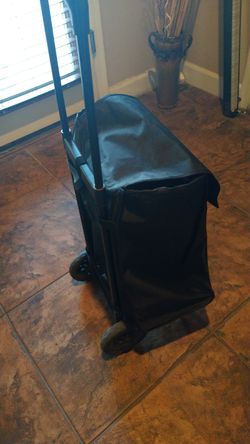 Instrument bag with wheels 20" by 13" $15 Firm On Price Good Condition )(I Can Delivery Gilbert And Chandler Area For Free)