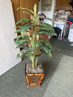 Artificial plant