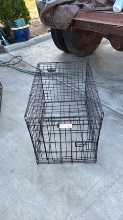Folding dog crate