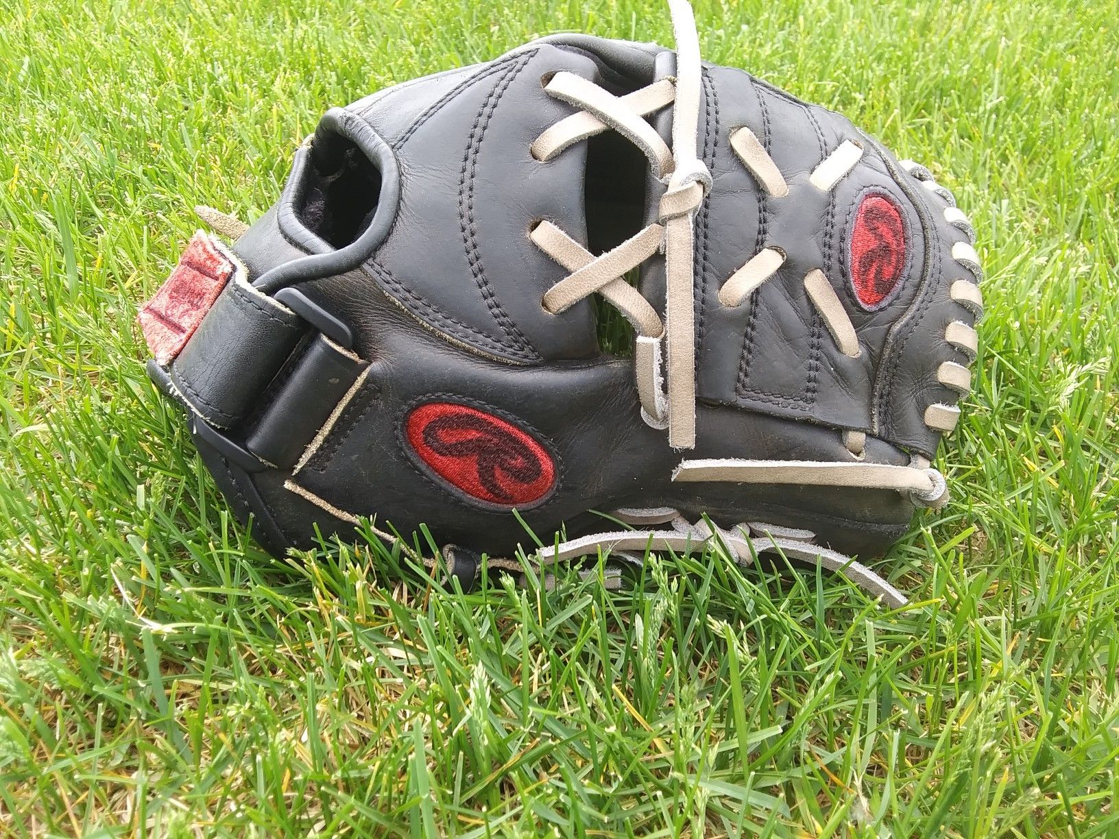 Rawlings Heart of the Hide glove