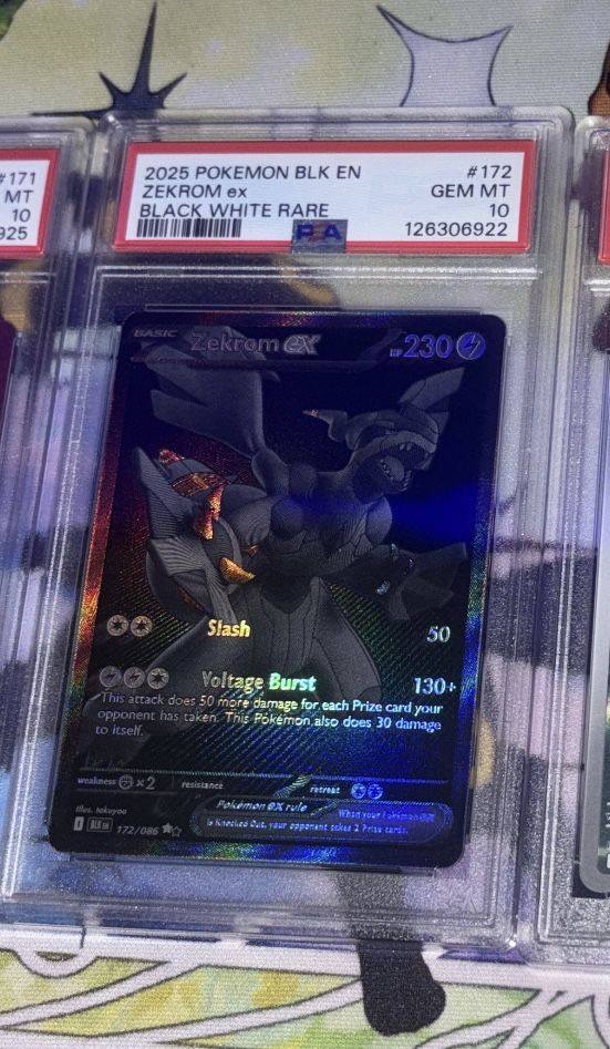 Zekrom BWR PSA10