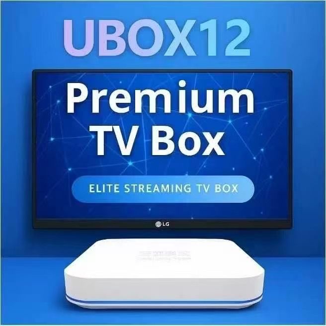 2025 Brand New Unblock box TV box 12 generation 安博盒子12 代