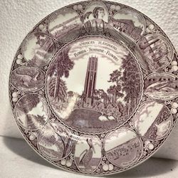 vintage Old English Staffordshire Ware America's Playground Florida State Plate 