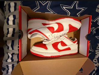 Nike dunks size 12