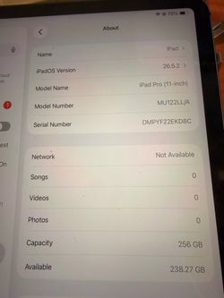 iPad Pro Wi-Fi + Cellular, 256GB, unlocked