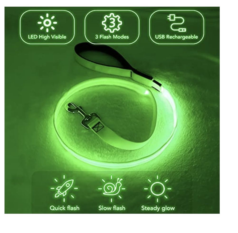 Dog Leashes Led