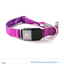 Fi Collar Series 2