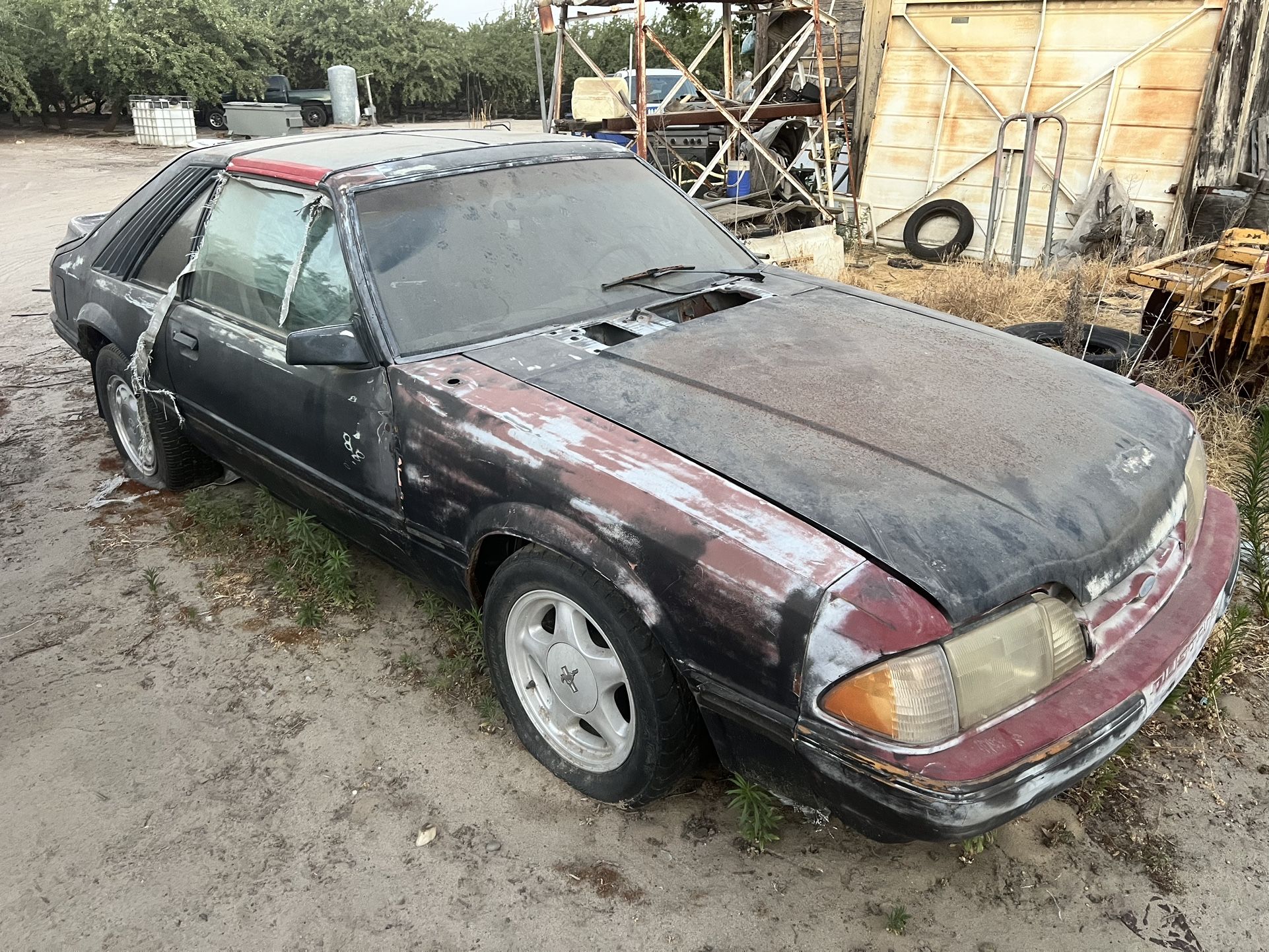 1984 Ford Mustang