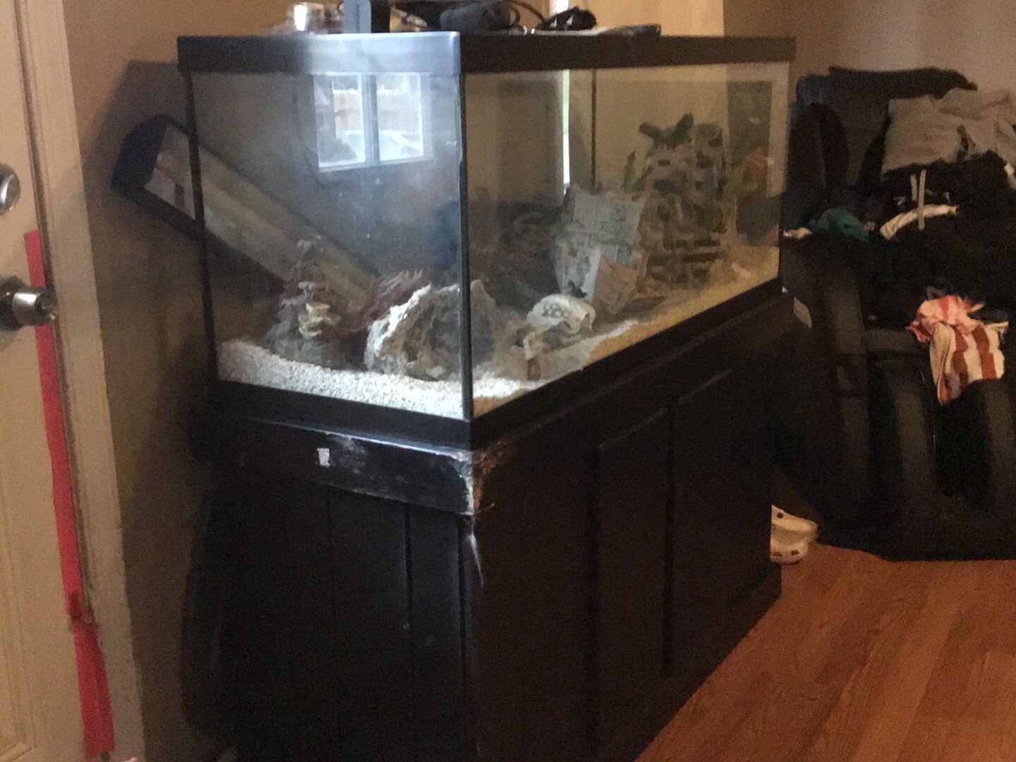 75 Gallon Tank And Stand For Sale For $150