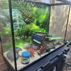 Fish Tank 75g