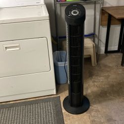 Tall Fan