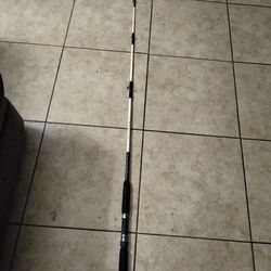 $20 Shakespeare sturdy stik big water baitcasting rod