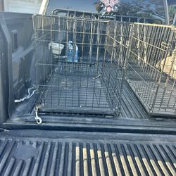 Bird/dog/etc Cage