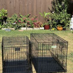Dog crates 