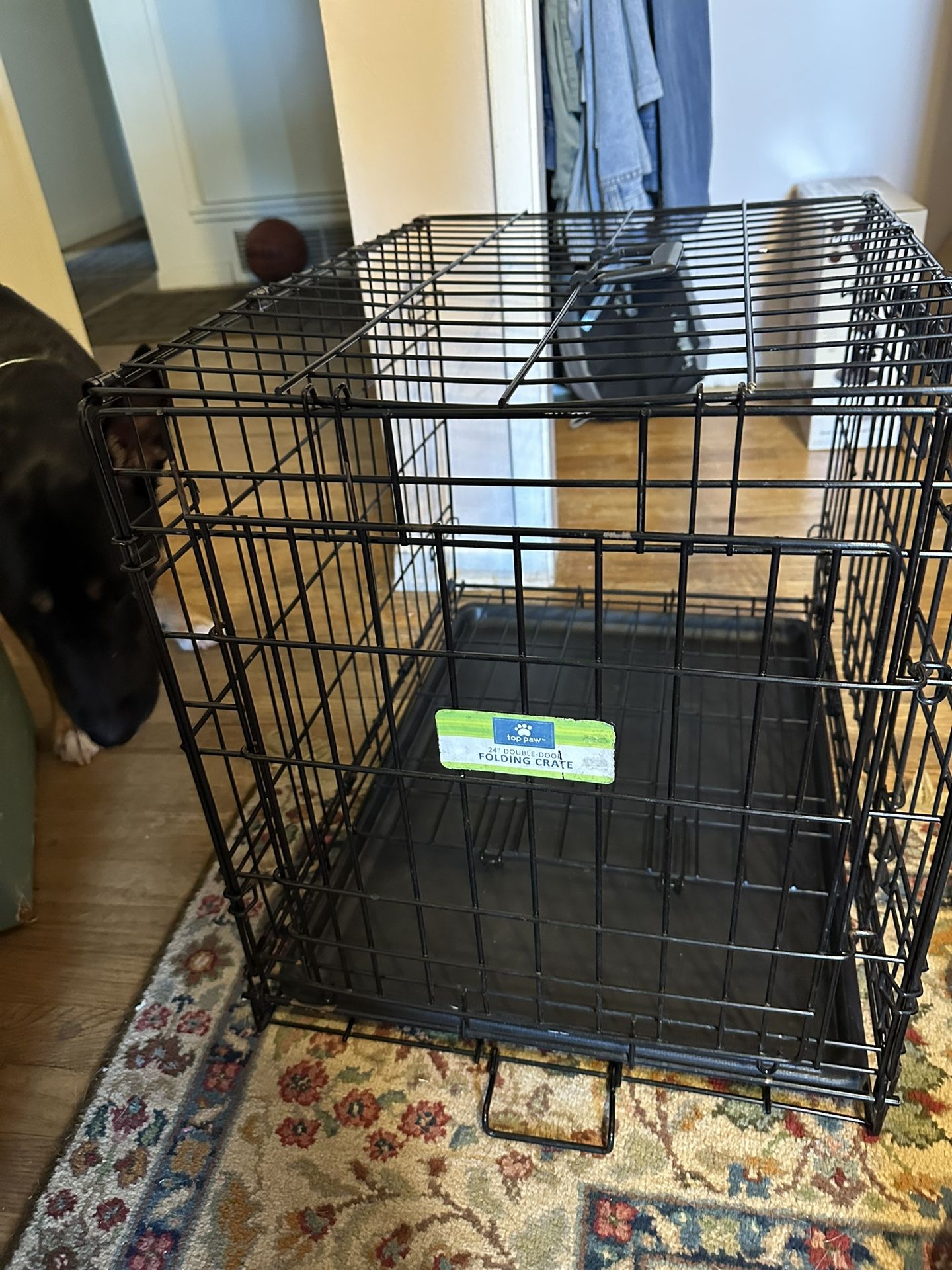 Folding Dog Crate