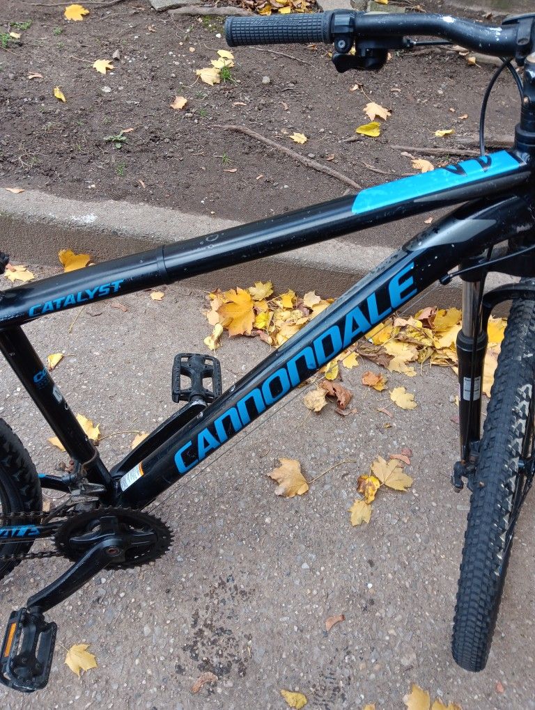 Cannondale Bike